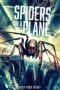 Spiders on a Plane (2024) Spiders on a Plane (2024)